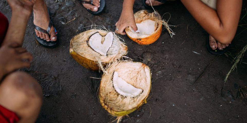coconuts
