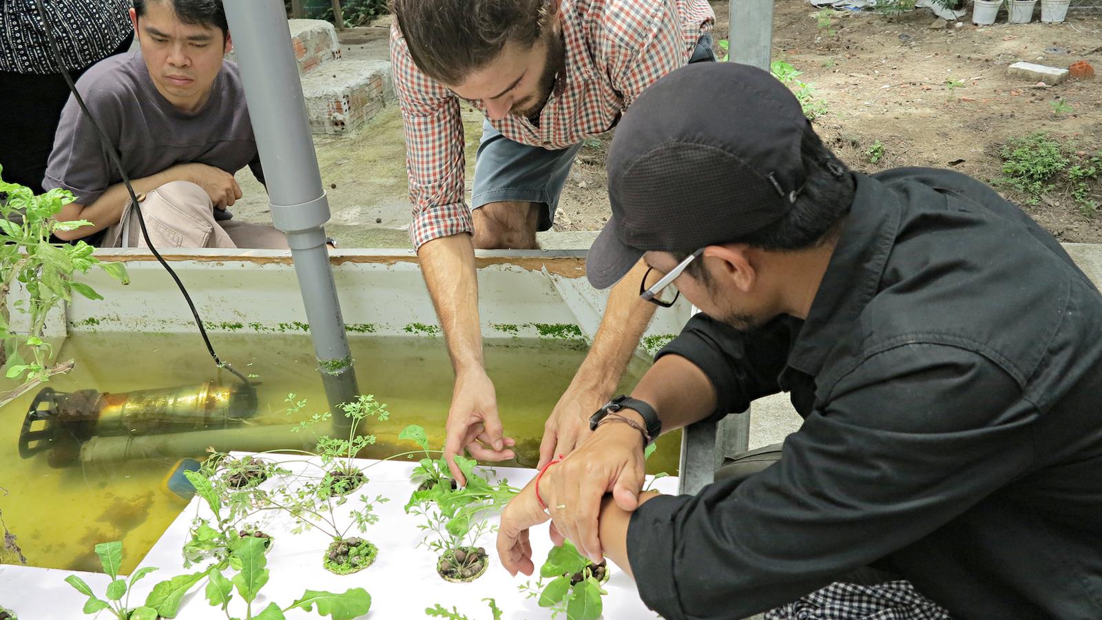 Planting