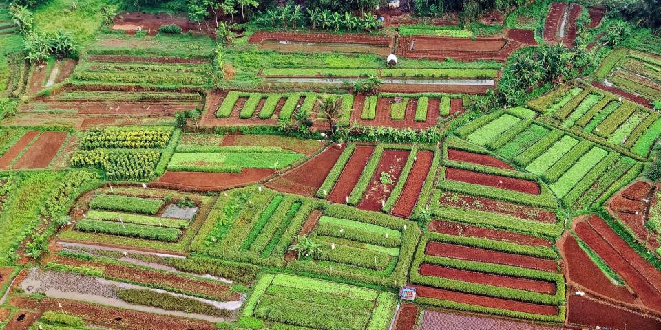 Farm