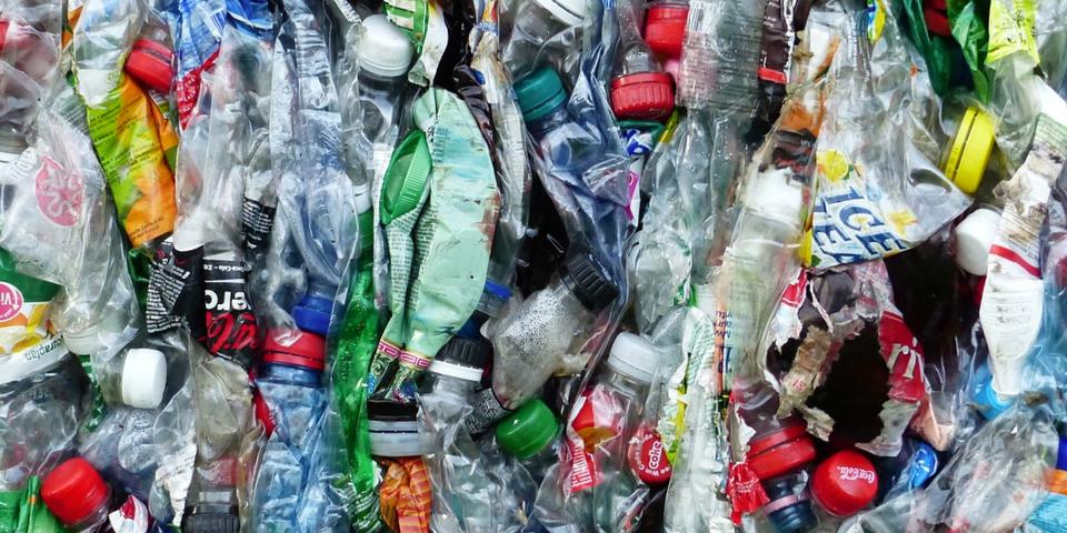 Plastic Bottles
