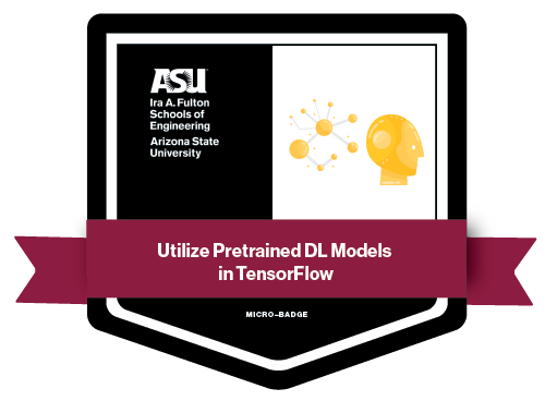Utilize Pretrained DL Models in TensorFlow badge