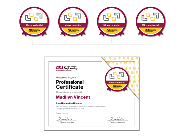 levels-microcredentials-what-are-they_website-graphic_2025