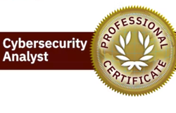 IBM Cybersecurity Analyst